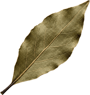 Bay Leaf